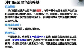 沙門氏菌的食品微生物學(xué)檢驗方法解析與佳發(fā)微招辦應(yīng)用探討