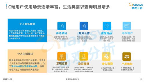 中國商業查詢市場分析2021