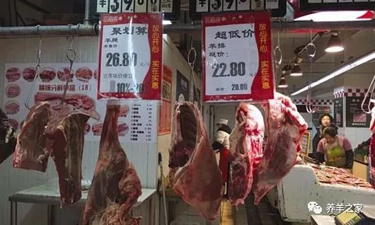 錫盟牧民,近期羊少,活羊收購價(jià)上漲導(dǎo)致羊肉上漲