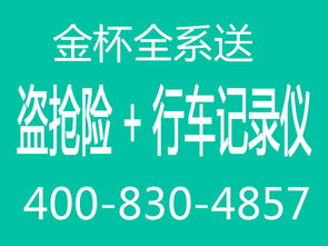沈陽金杯大海獅直降4萬 3年0利息