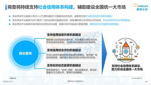 透視用戶需求深挖服務(wù)潛力 2022中國商業(yè)查詢行業(yè)洞察