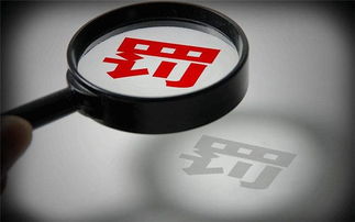 溫江區(qū)代理記賬報(bào)稅 柒仟企業(yè)管理 代理記賬報(bào)稅多少錢