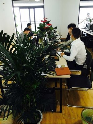 武漢金誠匯譽(yù)商務(wù)信息咨詢